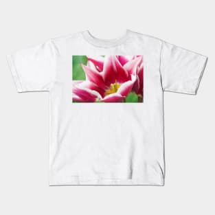 Tulipa  'Ballade'  AGM  Tulip  Lily-flowered Group  April Kids T-Shirt